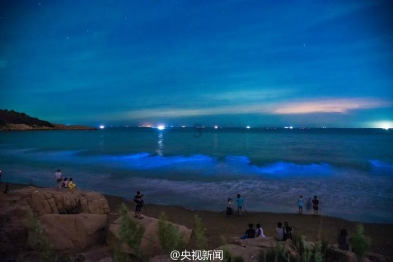 《宁夏回族自治区社会信用条例》正式施行